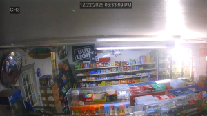 Caméra IP - États-Unis d'Amérique