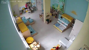 Caméra IP - Russian Federation