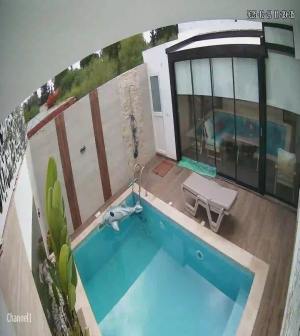 Caméra IP - Tunisie