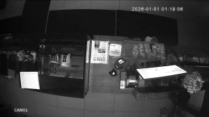 Caméra IP - Russian Federation