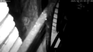 Caméra IP - Belgium