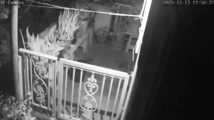 Caméra IP - Martinique