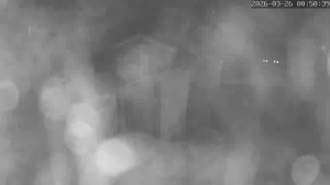 Caméra IP - Pays-Bas