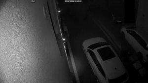 Caméra IP - Germany