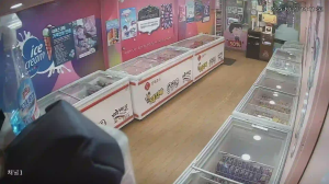 Caméra IP - Südkorea