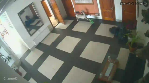 Caméra IP - Russian Federation