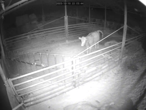 Caméra IP - Südkorea