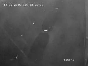 Caméra IP - Georgia