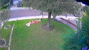 Caméra IP - États-Unis d'Amérique