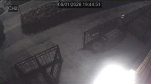 Caméra IP - Pays-Bas