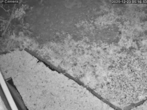 Caméra IP - Portugal