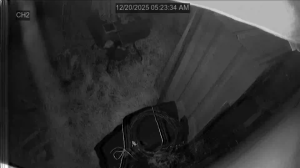 Caméra IP - Estados Unidos