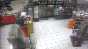 Caméra IP - United States of America