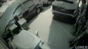 Caméra IP - United States of America