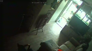 Caméra IP - Hong Kong