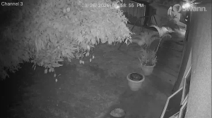 Caméra IP - Trinidad and Tobago