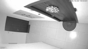 Caméra IP - Ucrania