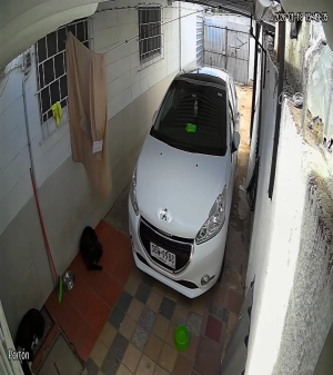 Caméra IP - Uruguay