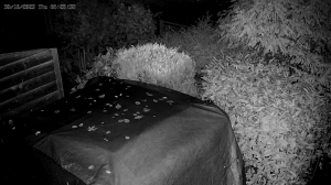 Caméra IP - Niederlande