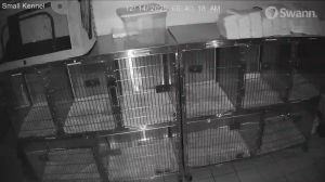 Caméra IP - Vereinigte Staaten von Amerika