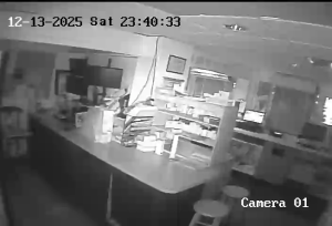 Caméra IP - Vereinigte Staaten von Amerika