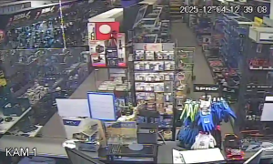 Caméra IP - Polonia