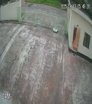 Caméra IP - Bangladesh