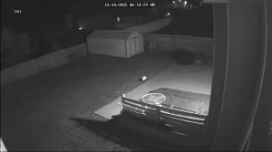 Caméra IP - United States of America