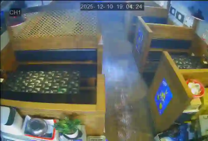 Caméra IP - South Korea