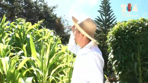 Caméra IP - Honduras