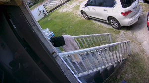 Caméra IP - United States of America