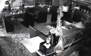 Caméra IP - Russische Föderation