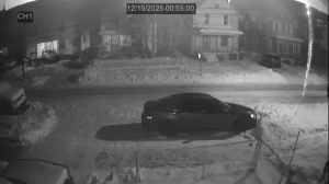 Caméra IP - United States of America