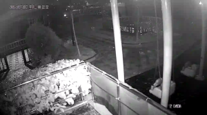 Caméra IP - Türkiye