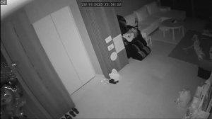 Caméra IP - Singapour