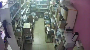 Caméra IP - Russian Federation