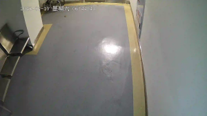 Caméra IP - People's Republic of China