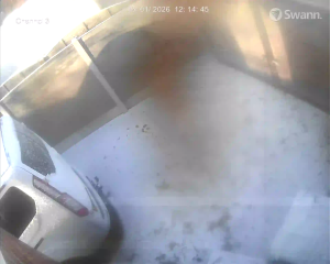 Caméra IP - Royaume-Uni