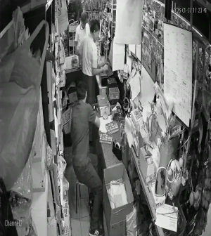 Caméra IP - Malesia