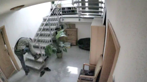 Caméra IP - Germany