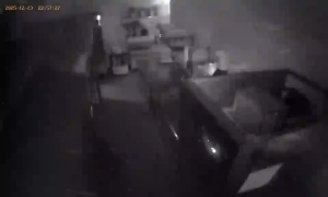 Caméra IP - Ucrania