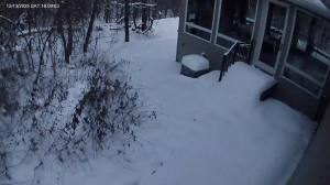 Caméra IP - États-Unis d'Amérique