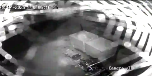 Caméra IP - Vereinigte Staaten von Amerika