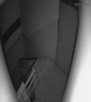 Caméra IP - Libanon