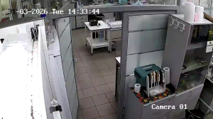 Caméra IP - Russian Federation