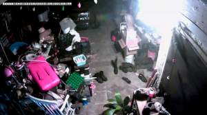 Caméra IP - United States of America