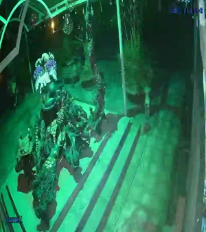 Caméra IP - Vietnam