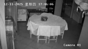 Caméra IP - People's Republic of China