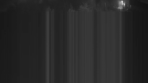 Caméra IP - Russian Federation