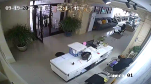 Caméra IP - China